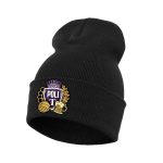 Căciulă "Beer and Balls" Negru