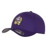 Şapcă fullcap "Beer and Balls" Violet