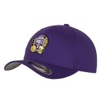 Şapcă fullcap "Beer and Balls" Violet