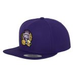 Şapcă snapback "Beer and Balls" Violet