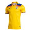 Tricou Oficial De Suporter Adulti I Romania 25/26 Galben - imagine 3